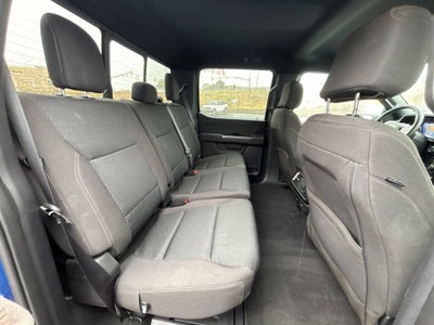 2023 Ford F-150 XLT 302A Sport