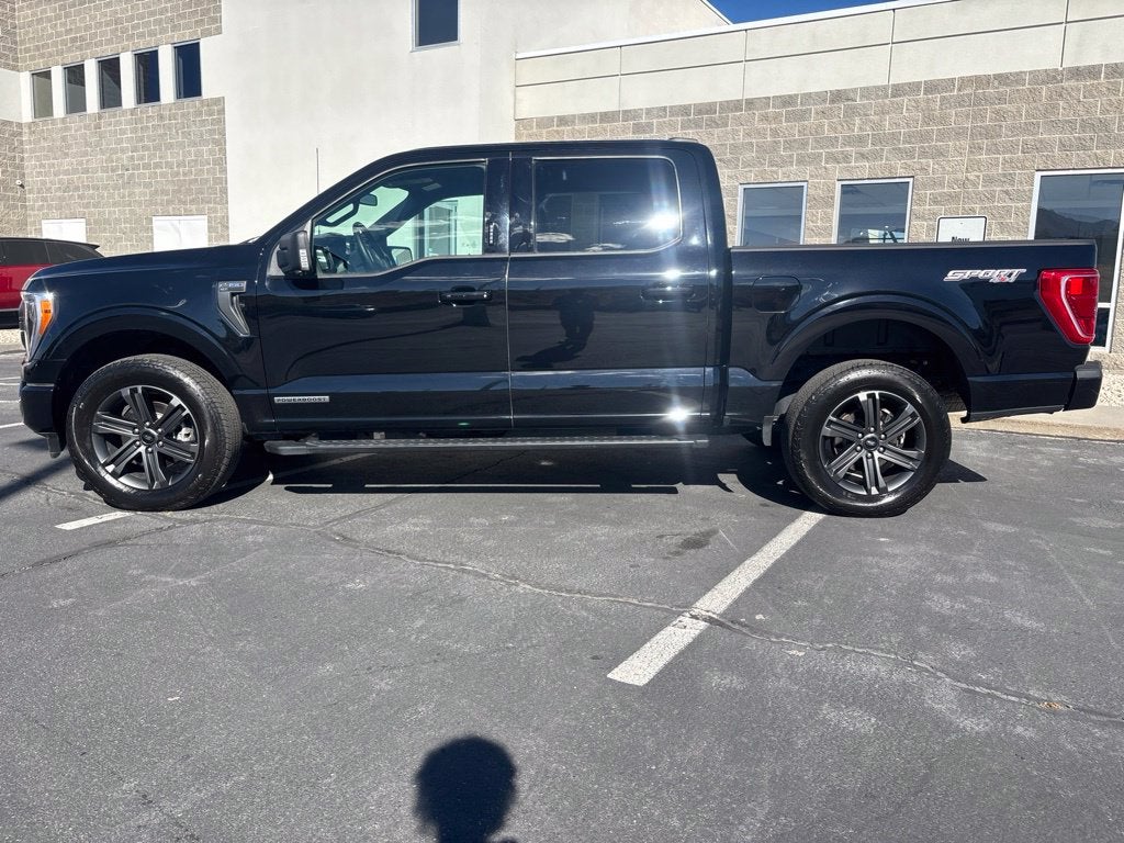 2023 Ford F-150 XLT 302A Sport