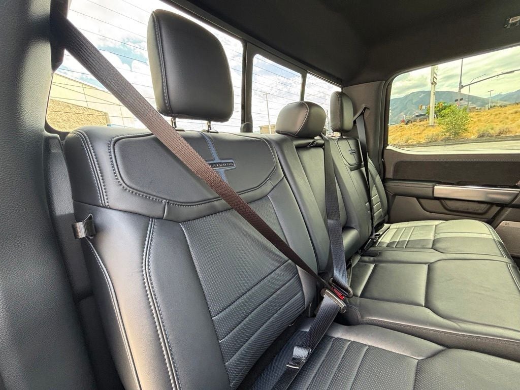 2025 Ford F-150 Platinum FX4